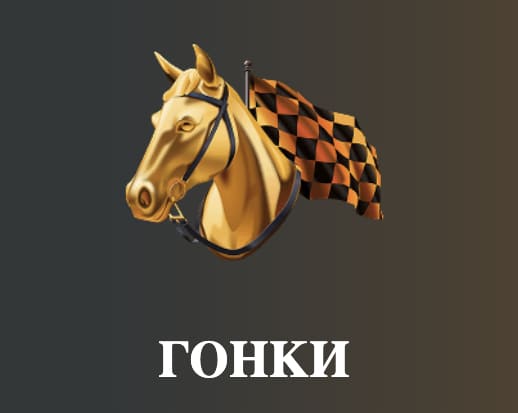 Гонки